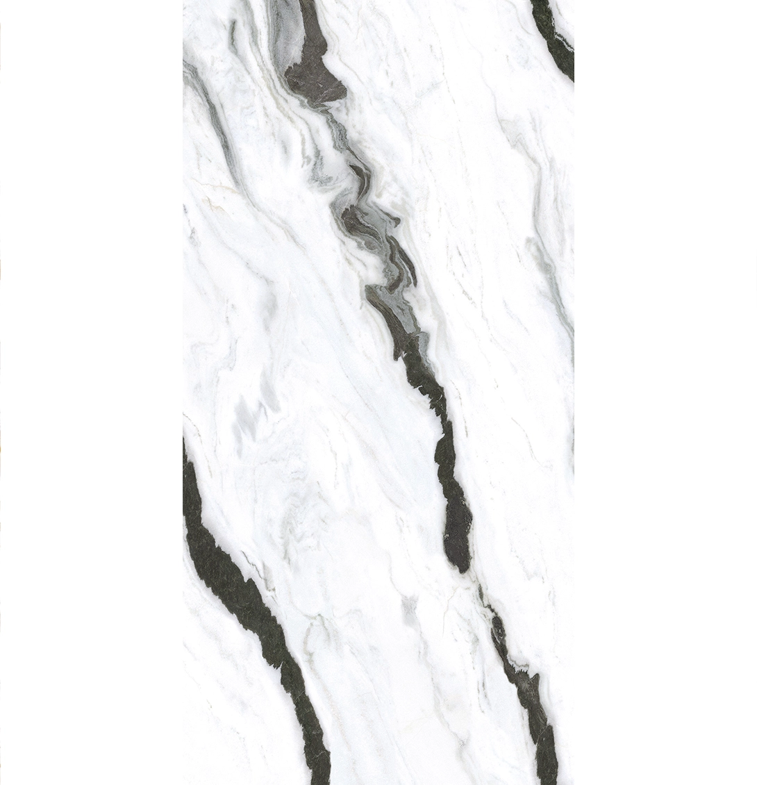 PANDA WHITE 1 PANDA WHITE