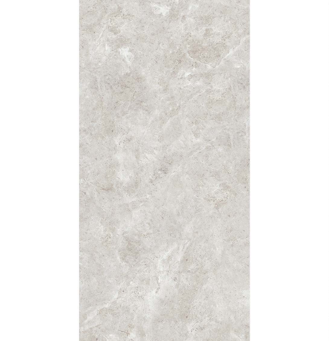 PLATINUM LEICA 1 PLATINUM LEICA