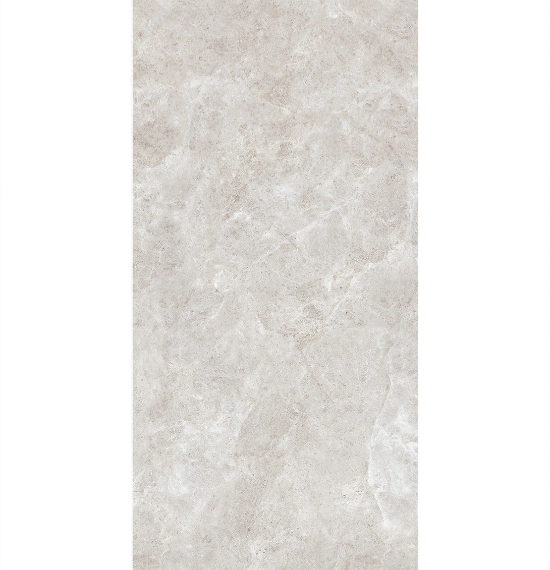 PLATINUM LEICA 2 PLATINUM LEICA - Image 2