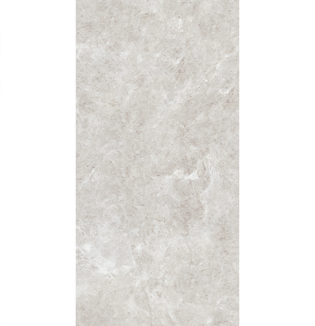 PLATINUM LEICA 3 PLATINUM LEICA - Image 3