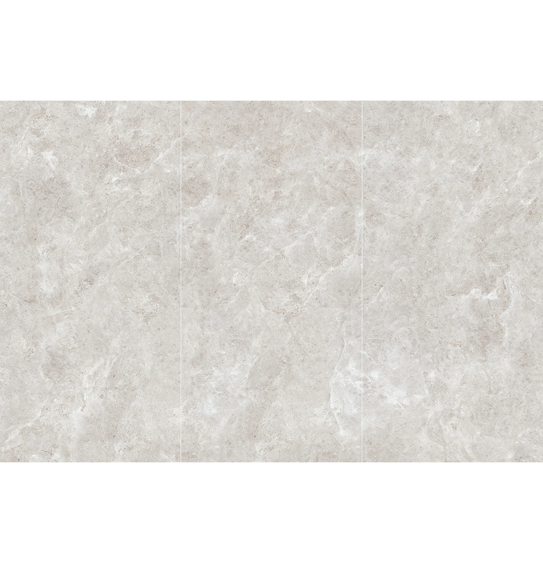 PLATINUM LEICA 4 PLATINUM LEICA - Image 4