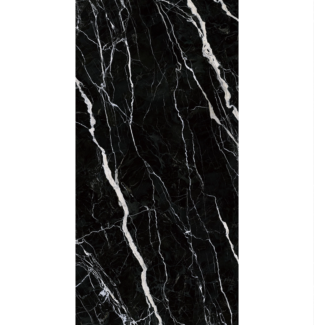 STARRY SEINE 1 STARRY SEINE