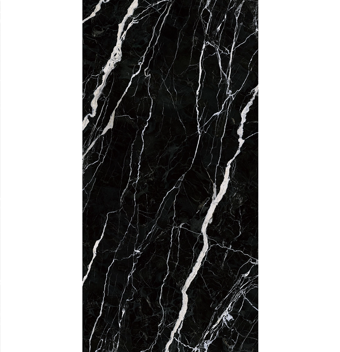 STARRY SEINE 2 STARRY SEINE - Image 2