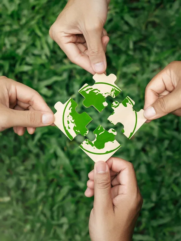 moreroom sustainability eco collaboration