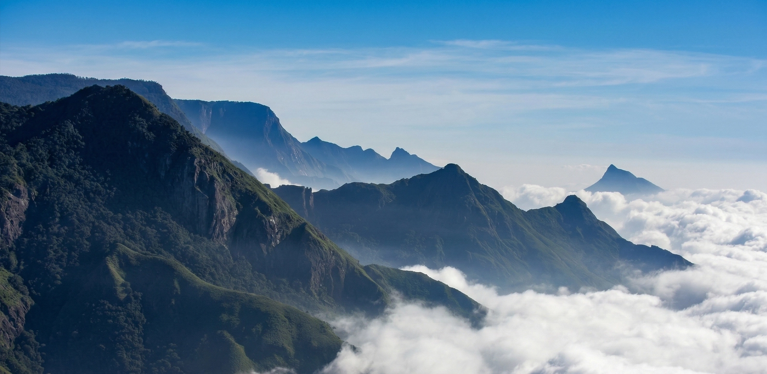 moreroom sustainability nature landscape